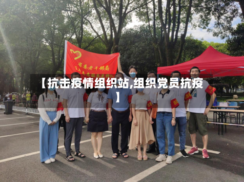 【抗击疫情组织站,组织党员抗疫】