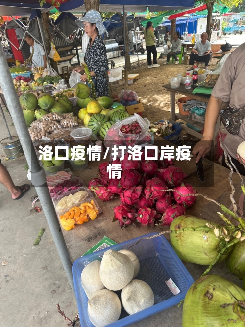 洛口疫情/打洛口岸疫情-第3张图片