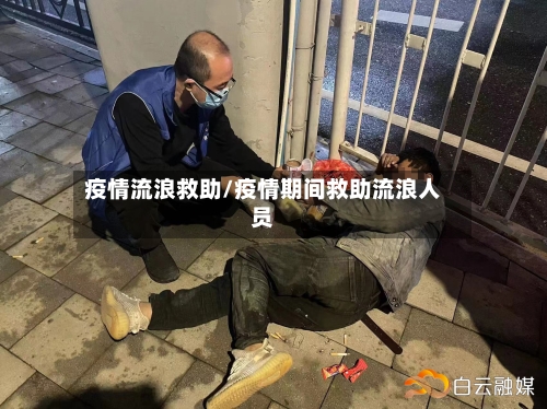 疫情流浪救助/疫情期间救助流浪人员-第2张图片