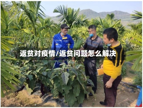 返贫对疫情/返贫问题怎么解决