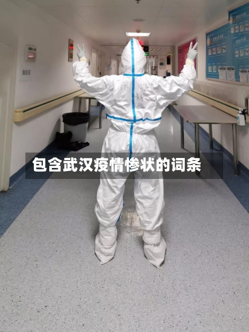 包含武汉疫情惨状的词条-第3张图片