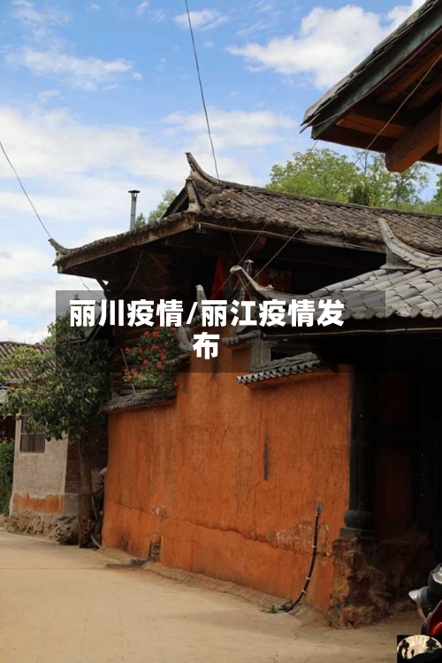丽川疫情/丽江疫情发布-第3张图片
