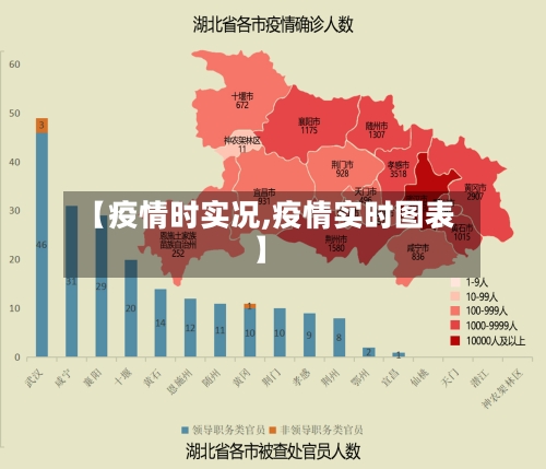 【疫情时实况,疫情实时图表】-第3张图片