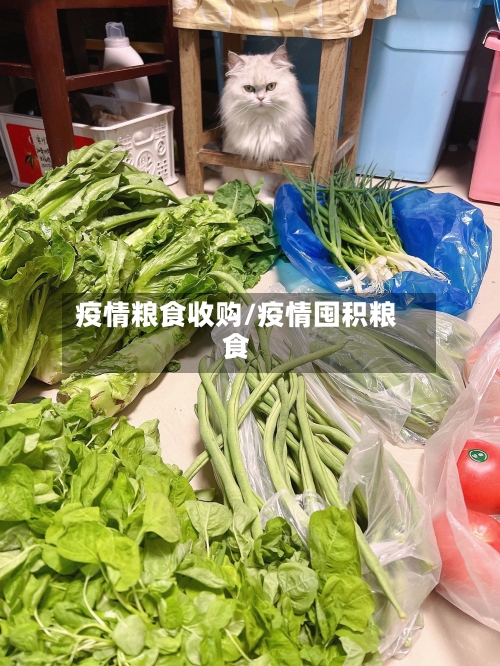 疫情粮食收购/疫情囤积粮食