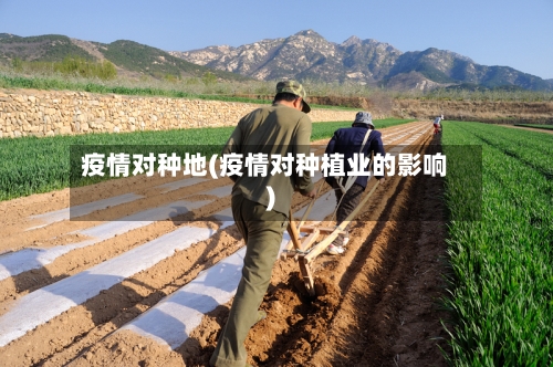 疫情对种地(疫情对种植业的影响)-第3张图片