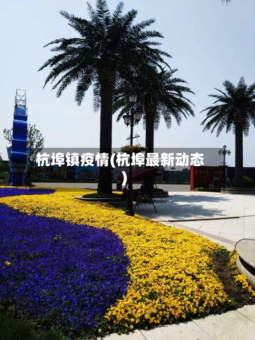 杭埠镇疫情(杭埠最新动态)-第2张图片