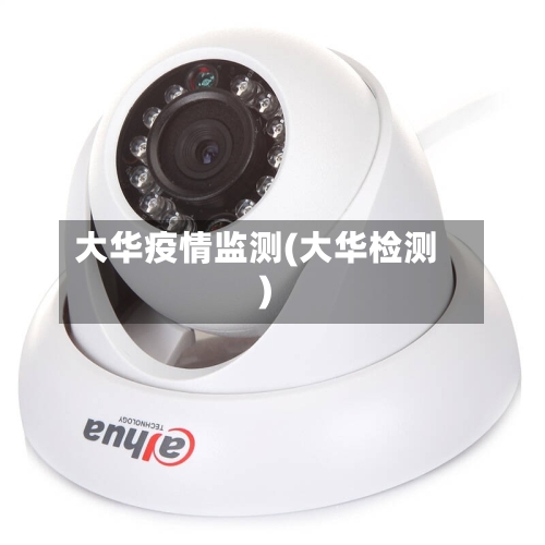 大华疫情监测(大华检测)-第2张图片