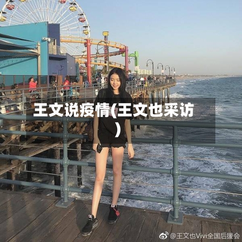 王文说疫情(王文也采访)