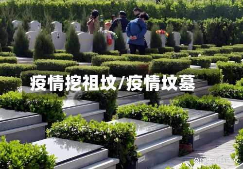 疫情挖祖坟/疫情坟墓