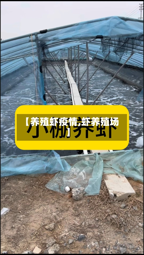 【养殖虾疫情,虾养殖场】-第2张图片