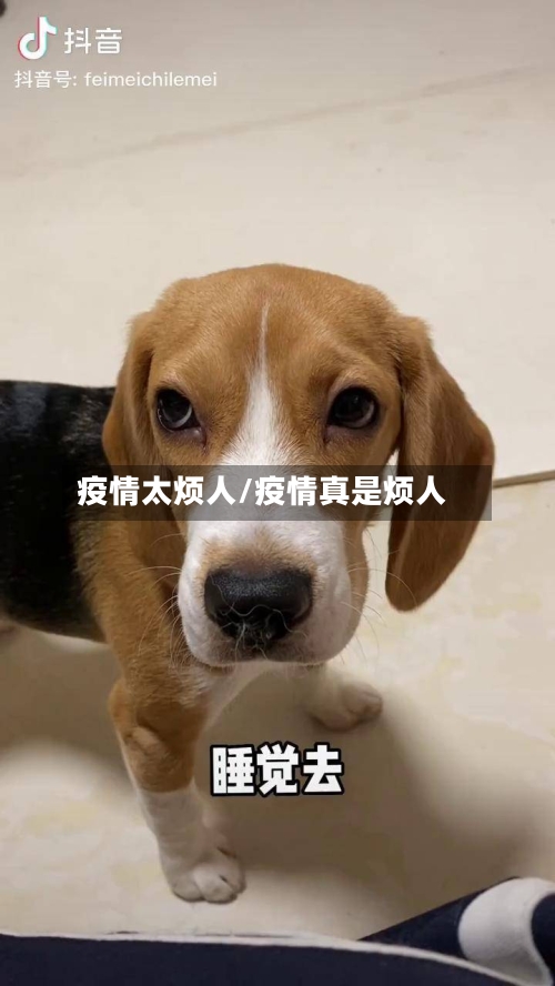 疫情太烦人/疫情真是烦人-第3张图片