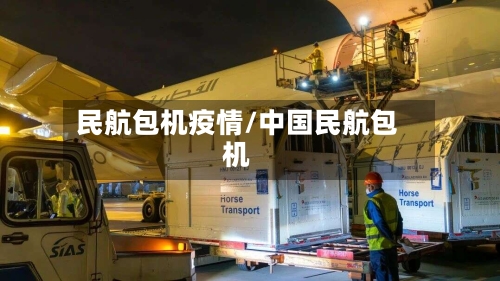 民航包机疫情/中国民航包机