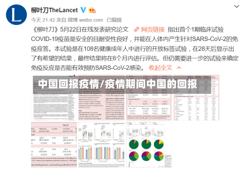 中国回报疫情/疫情期间中国的回报