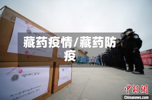 藏药疫情/藏药防疫