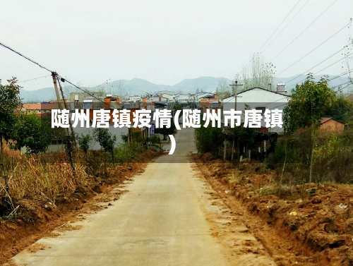 随州唐镇疫情(随州市唐镇)-第3张图片
