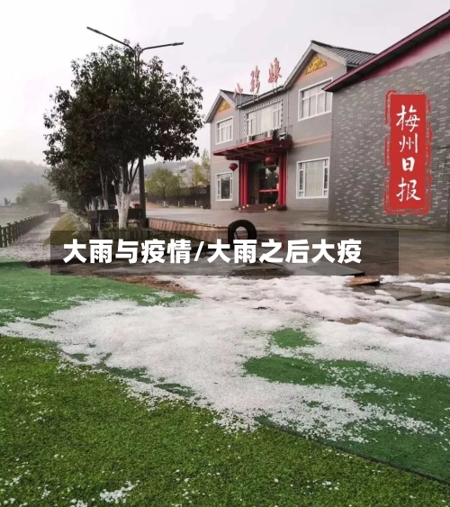 大雨与疫情/大雨之后大疫