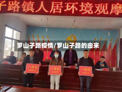 罗山子路疫情/罗山子路的由来