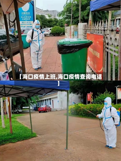 【海口疫情上班,海口疫情查询电话】-第2张图片