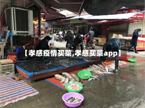 【孝感疫情买菜,孝感买菜app】-第3张图片