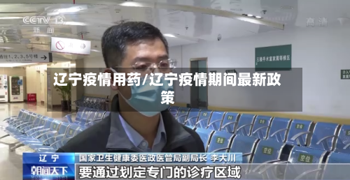辽宁疫情用药/辽宁疫情期间最新政策-第2张图片