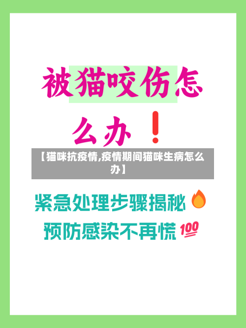【猫咪抗疫情,疫情期间猫咪生病怎么办】-第2张图片