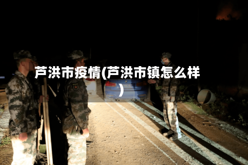 芦洪市疫情(芦洪市镇怎么样)