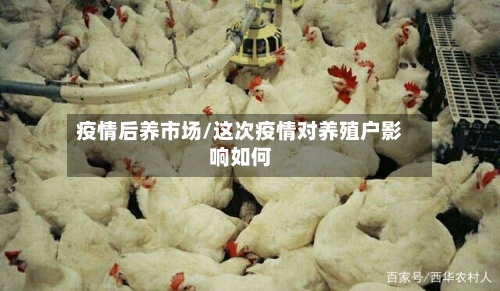 疫情后养市场/这次疫情对养殖户影响如何