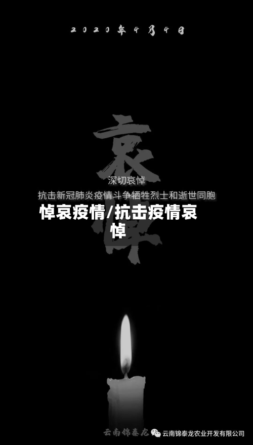 悼哀疫情/抗击疫情哀悼-第2张图片