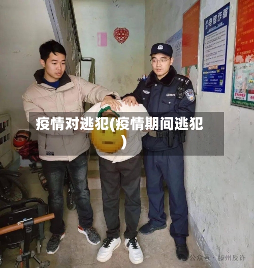 疫情对逃犯(疫情期间逃犯)-第3张图片
